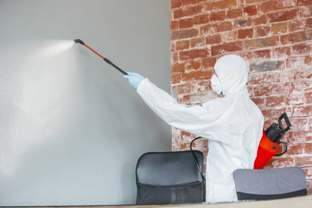 Reliable Bristol, IN Mold Removal Solutions